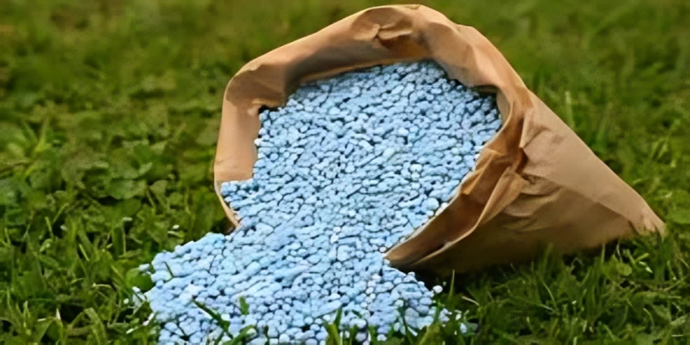 BHEL inks 10-year pact with Italy’s Nuovo Pignone to modernise fertiliser sector compressors BHEL inks 10-year pact with Italy’s Nuovo Pignone to modernise fertiliser sector compressors